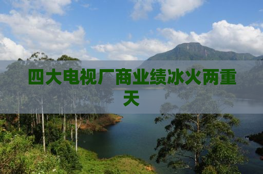 四大电视厂商业绩冰火两重天
