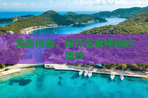 龙影传奇，揭开古老神秘的面纱