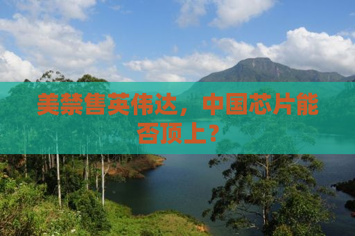 美禁售英伟达，中国芯片能否顶上？