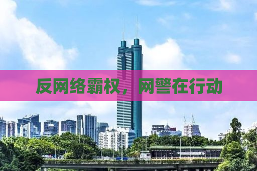 反网络霸权，网警在行动