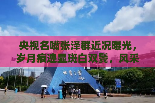 央视名嘴张泽群近况曝光，岁月痕迹显斑白双鬓，风采依旧不减当年