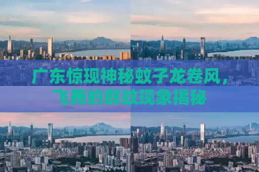 广东惊现神秘蚊子龙卷风，飞舞的群蚊现象揭秘
