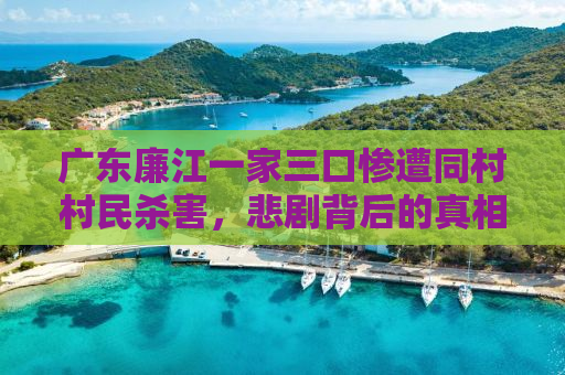 广东廉江一家三口惨遭同村村民杀害，悲剧背后的真相与反思