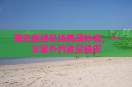 西双版纳机场偶遇孙杨，一次意外的追星经历