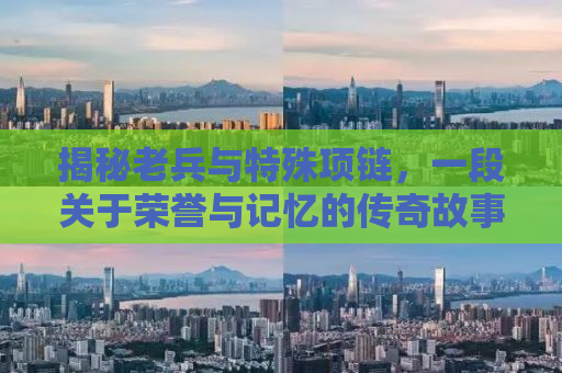 揭秘老兵与特殊项链，一段关于荣誉与记忆的传奇故事