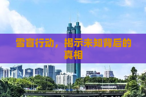 雪盲行动，揭示未知背后的真相