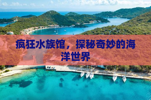 疯狂水族馆，探秘奇妙的海洋世界