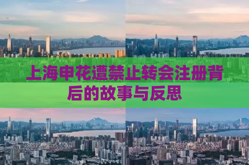 上海申花遭禁止转会注册背后的故事与反思