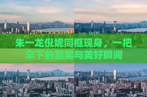 朱一龙倪妮同框现身，一把伞下的默契与美好瞬间