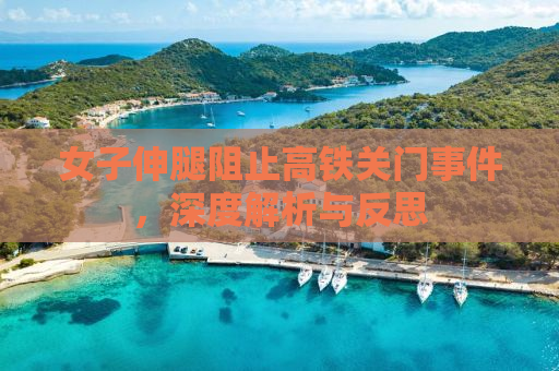 女子伸腿阻止高铁关门事件，深度解析与反思