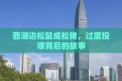 西湖边松鼠成松猪，过度投喂背后的故事