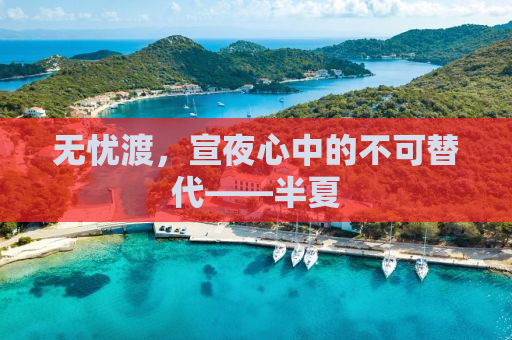无忧渡，宣夜心中的不可替代——半夏