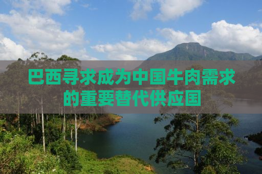 巴西寻求成为中国牛肉需求的重要替代供应国