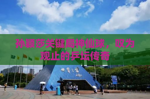 孙颖莎关键局神仙球，叹为观止的乒坛传奇