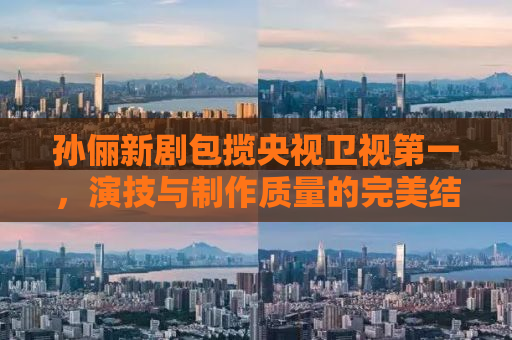 孙俪新剧包揽央视卫视第一，演技与制作质量的完美结合