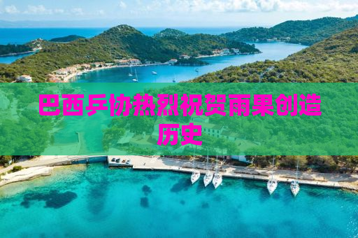巴西乒协热烈祝贺雨果创造历史