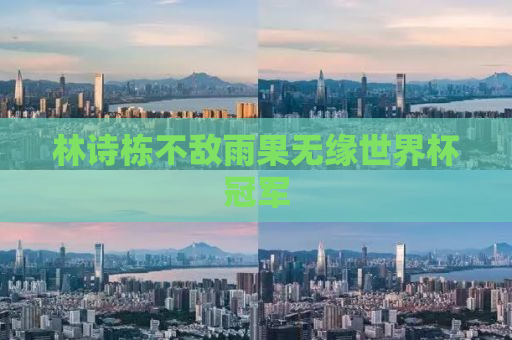 林诗栋不敌雨果无缘世界杯冠军