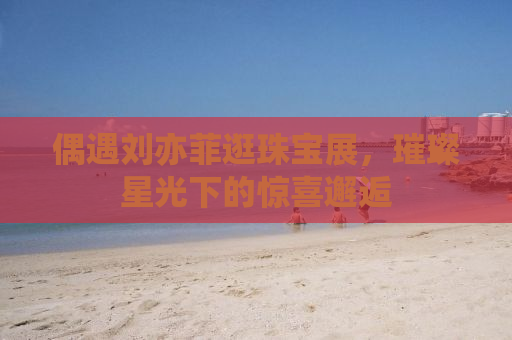 偶遇刘亦菲逛珠宝展，璀璨星光下的惊喜邂逅