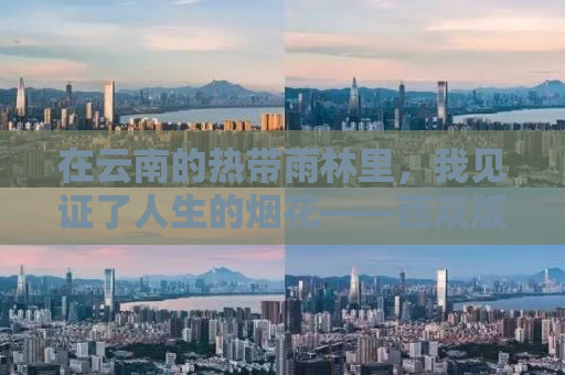 在云南的热带雨林里，我见证了人生的烟花——西双版纳游记