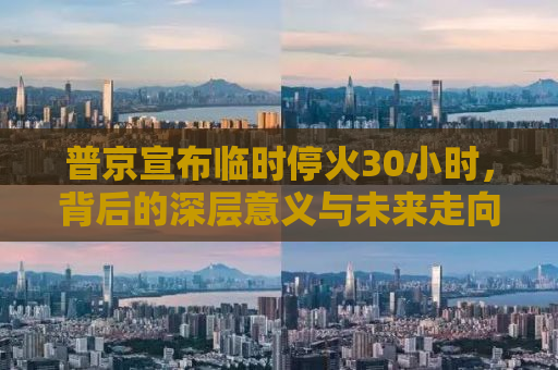 普京宣布临时停火30小时，背后的深层意义与未来走向分析