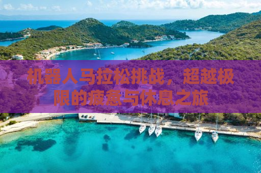 机器人马拉松挑战，超越极限的疲惫与休息之旅