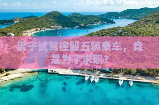 男子试驾撞毁五辆豪车，竟是为了求职？