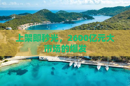 上架即秒光，2600亿元大市场的爆发