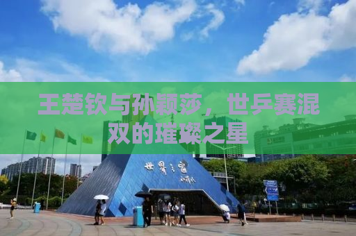 王楚钦与孙颖莎，世乒赛混双的璀璨之星