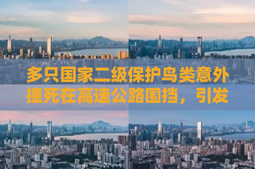 多只国家二级保护鸟类意外撞死在高速公路围挡，引发社会关注与反思