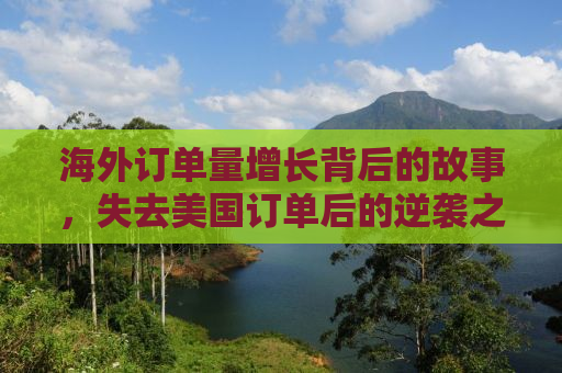 海外订单量增长背后的故事，失去美国订单后的逆袭之路