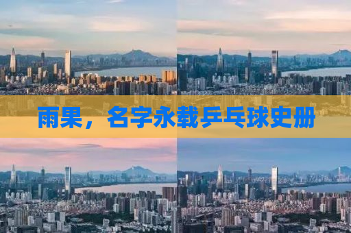 雨果，名字永载乒乓球史册