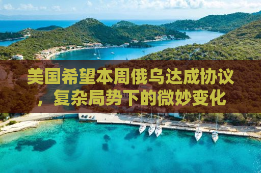 美国希望本周俄乌达成协议，复杂局势下的微妙变化