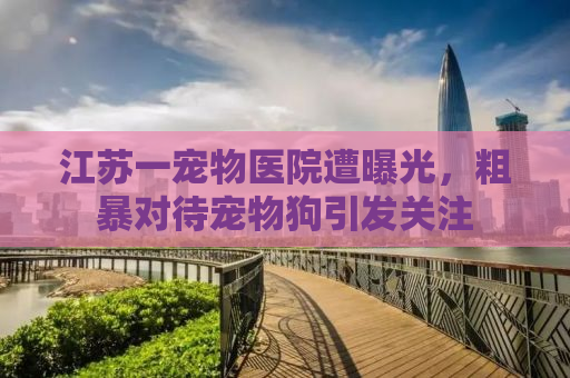 江苏一宠物医院遭曝光，粗暴对待宠物狗引发关注