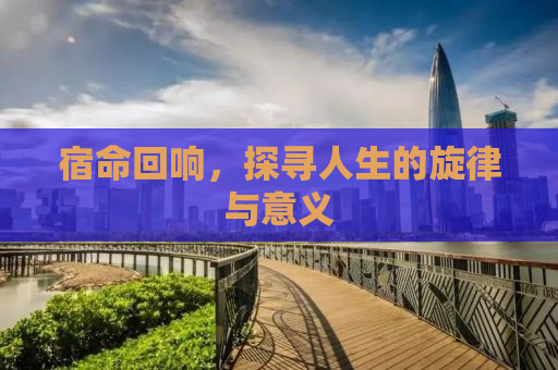 宿命回响，探寻人生的旋律与意义
