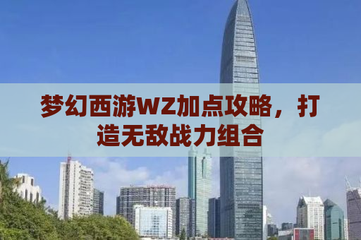 梦幻西游WZ加点攻略，打造无敌战力组合