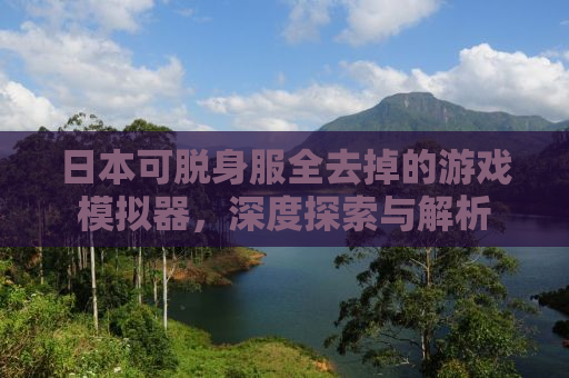 日本可脱身服全去掉的游戏模拟器，深度探索与解析