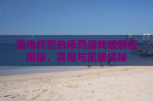 雷电将军的惩罚游戏破解版揭秘，真相与策略揭秘