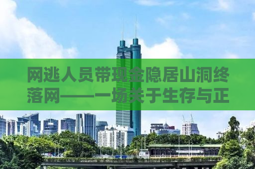 网逃人员带现金隐居山洞终落网——一场关于生存与正义的较量