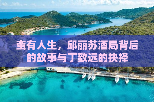蛮有人生，邱丽苏酒局背后的故事与丁致远的抉择