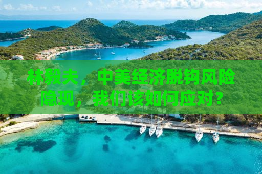 林毅夫，中美经济脱钩风险隐现，我们该如何应对？