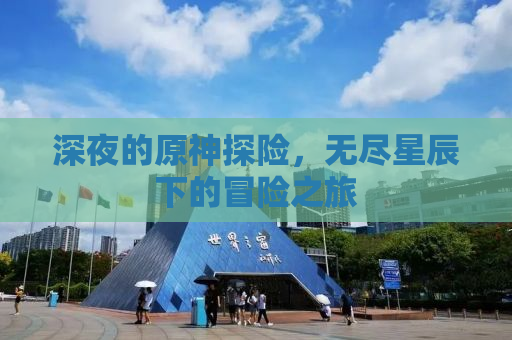 深夜的原神探险，无尽星辰下的冒险之旅
