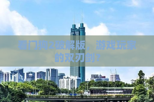 看门狗2破解版，游戏玩家的双刃剑？