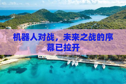 机器人对战，未来之战的序幕已拉开