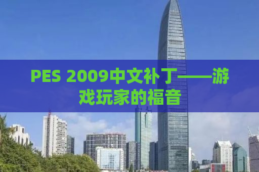 PES 2009中文补丁——游戏玩家的福音