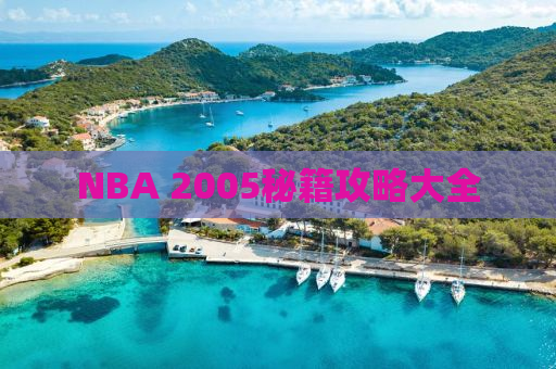 NBA 2005秘籍攻略大全