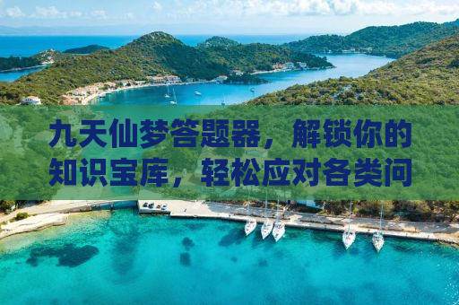 九天仙梦答题器，解锁你的知识宝库，轻松应对各类问题