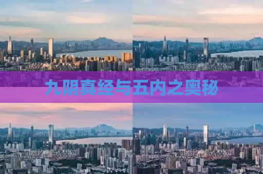 九阴真经与五内之奥秘