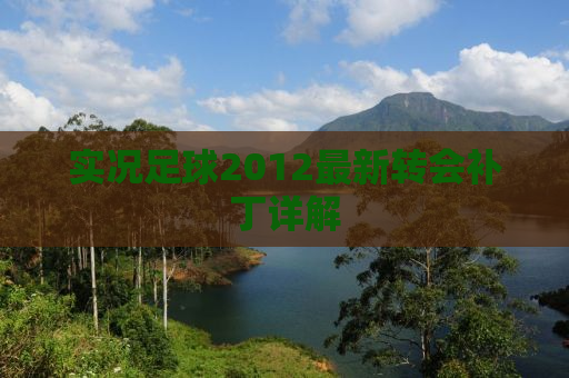 实况足球2012最新转会补丁详解