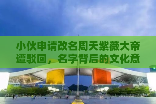 小伙申请改名周天紫薇大帝遭驳回，名字背后的文化意义与社会考量