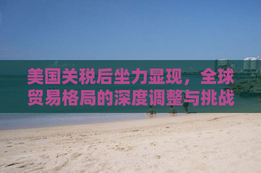 美国关税后坐力显现，全球贸易格局的深度调整与挑战应对